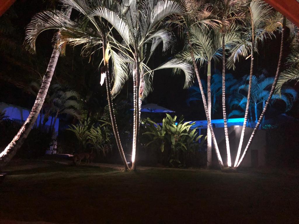 Відпочинок в готелі Casa Barbara Лас-Терренас Домініканська республіка