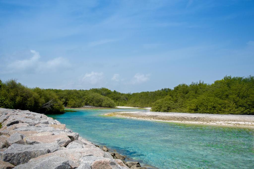 Reef Edge Thulusdhoo, Мальдивы, Каафу Атолл, туры, фото и отзывы