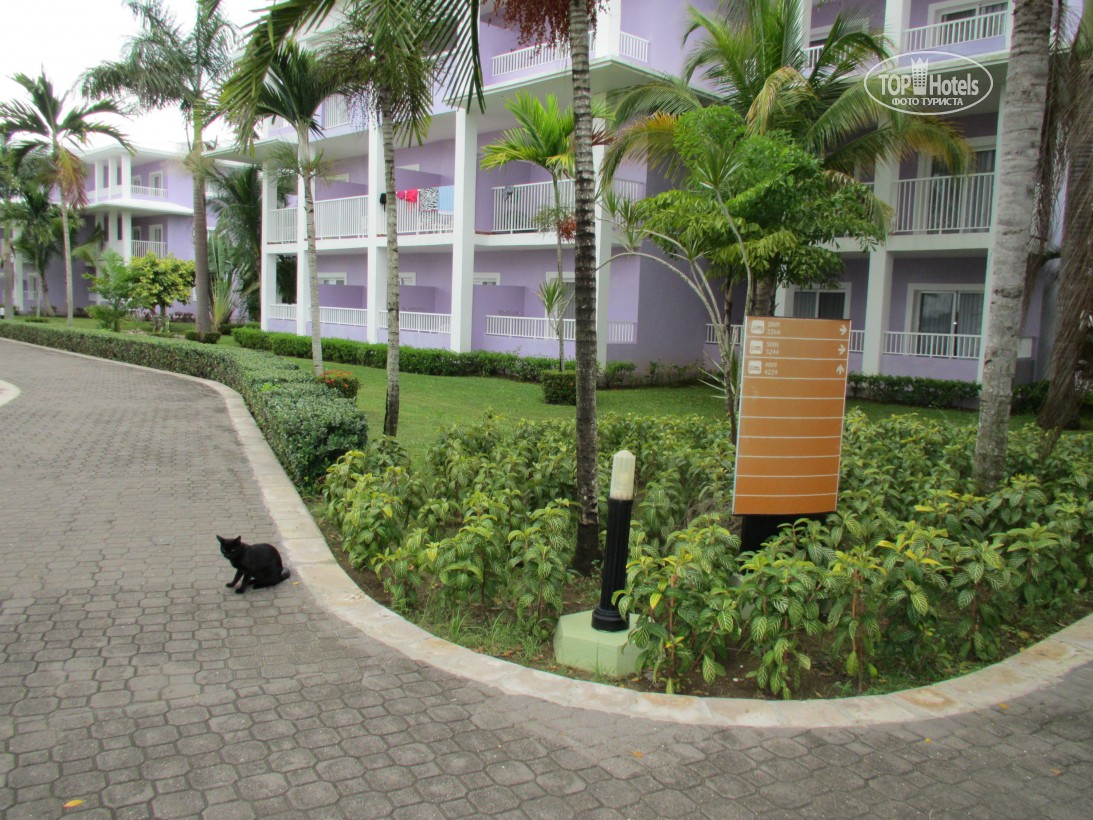 Hotel, Jamaica, Negril, Clubhotel Riu Negril