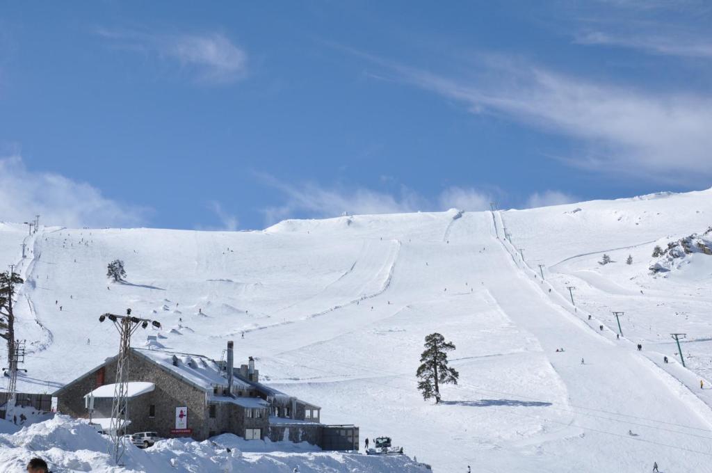 Цены в отеле Dorukkaya Ski & Mountain Resort