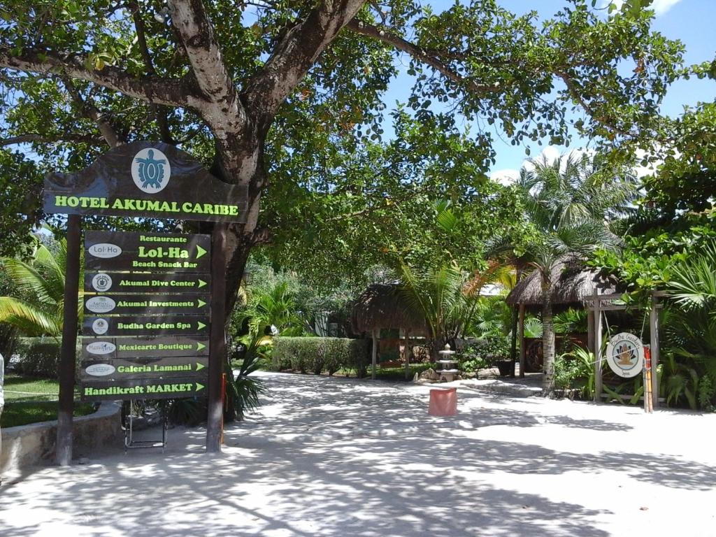 Отзывы об отеле Hotel Club Akumal Caribe