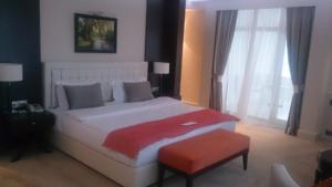 Qafqaz Thermal&Spa Resort Hotel Gabala, 4, фотографії