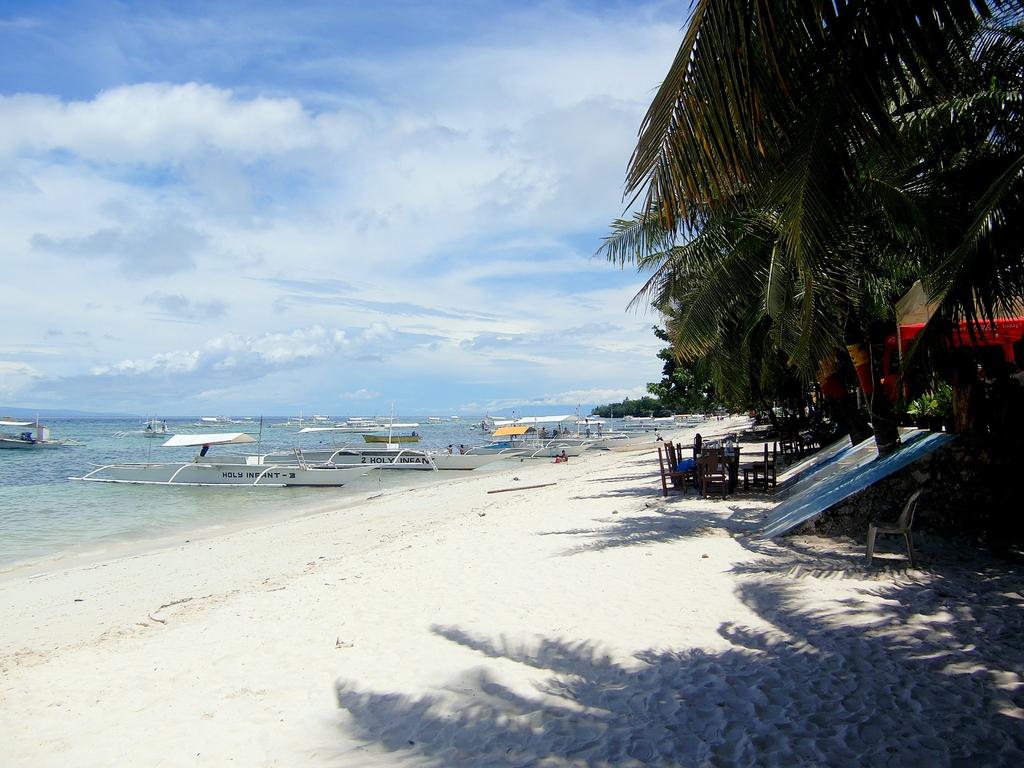 Kalipayan Dive Resort, Панглао (остров), фотографии туров