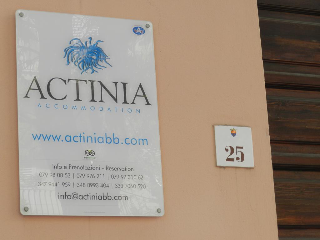 B&B Actinia, Сардиния (остров), Италия, фотографии туров