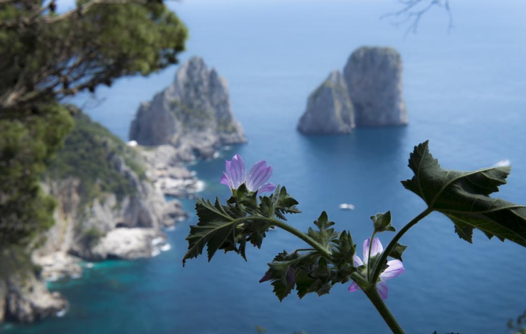 Bussola Di Hermes Hotel (Anacapri), Capri Island, Italy, photos of tours