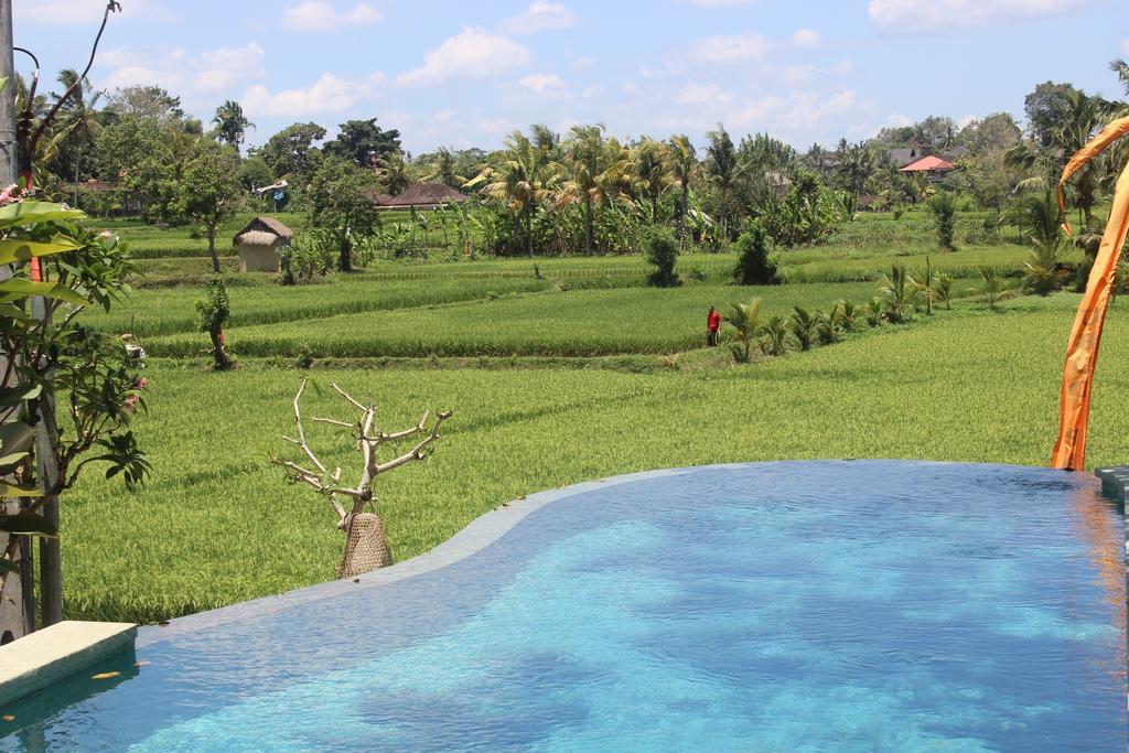 Ubud Padi Villas, Балі (курорт) ціни