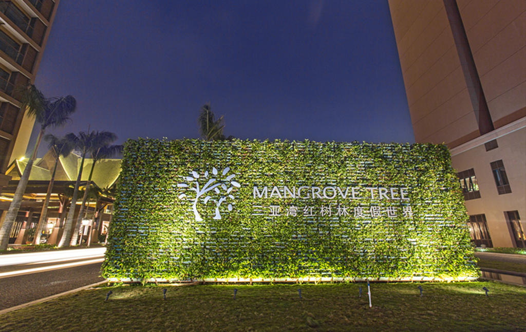 Mangrove Tree Resort, фото