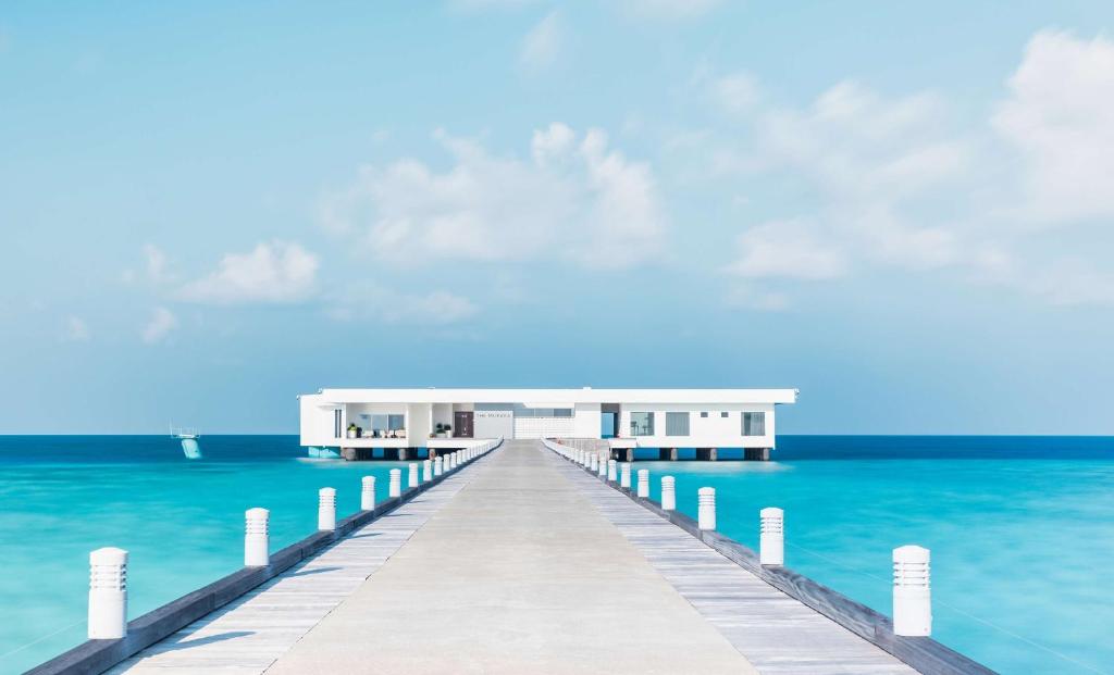 Отзывы про отдых в отеле, Conrad Maldives Rangali