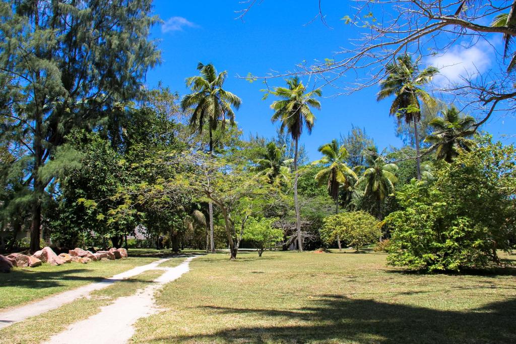 Cote dor Lodge, Seychelles, Сейшелы, Праслин (остров), туры, фото и отзывы