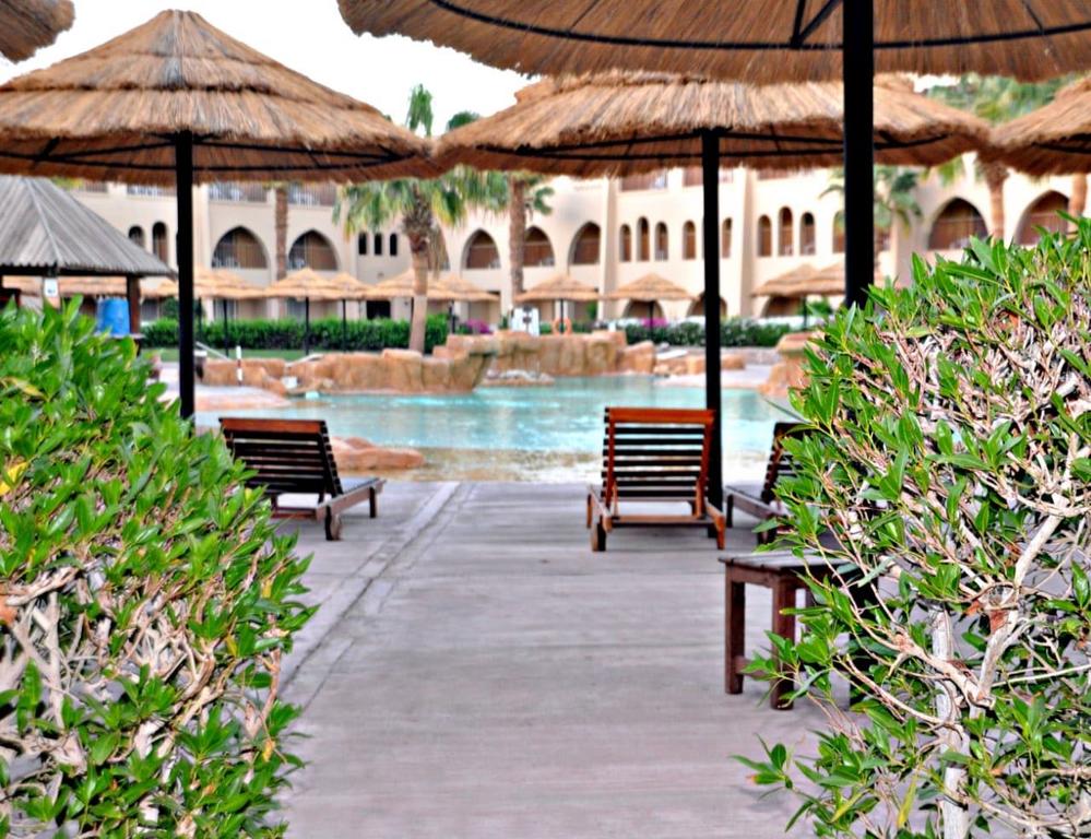 Tours to the hotel Palmyra Amar El Zaman Aqua Park Resort
