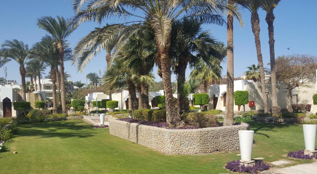Wakacje hotelowe Zya Regina Resort and Aquapark Hurghada