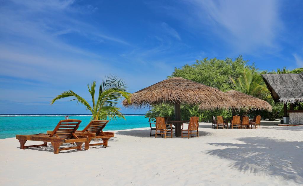 Palm Beach Resort & Spa Maldives, 5, фотографії