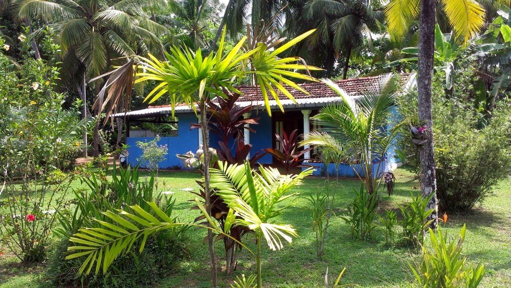 Hotel guest reviews Mangrove Villa - Bentota River