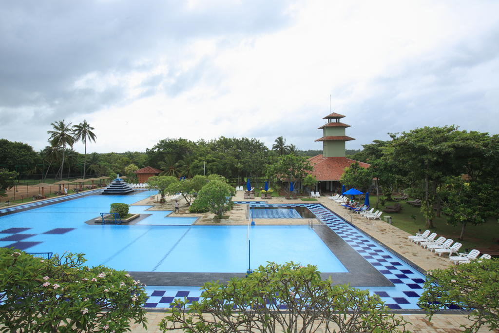 Відпочинок в готелі Club Palm Bay Маравіла Шрі-Ланка