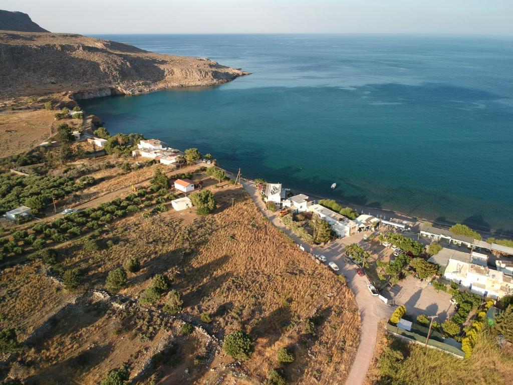 Горящие туры в отель Alkioni Sea View Лассити Греция