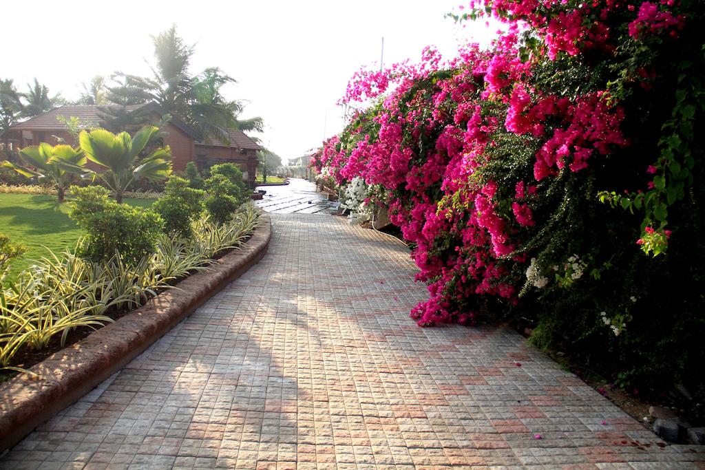 The Fern Beira Mar Resort, Indie, GOA na południe, wakacje, zdjęcia i recenzje