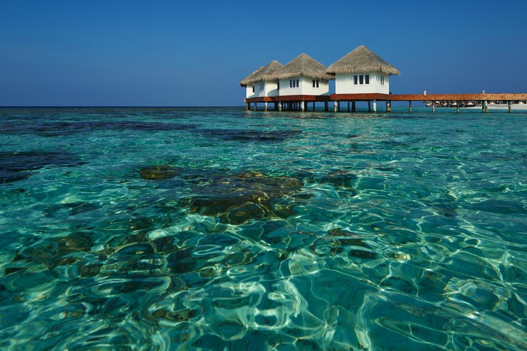 Отзывы об отеле Loama Resort Maldives at Maamigili