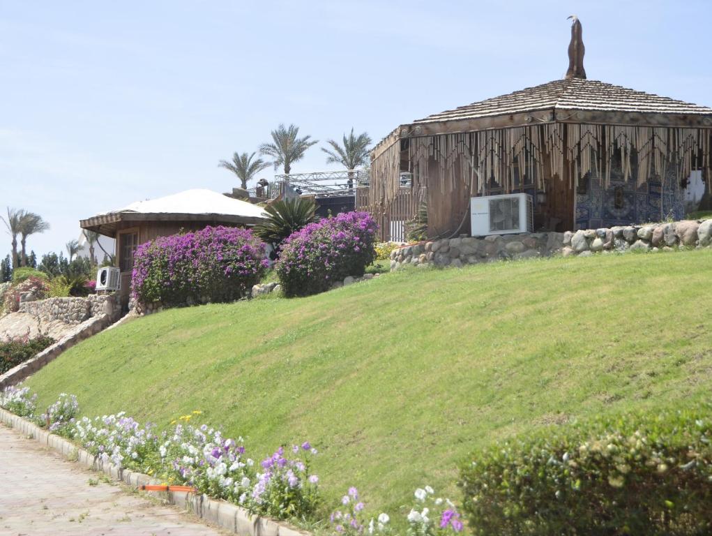 Горящие туры в отель Queen Sharm Resort (ex. Vera Club Queen Sharm Beach) Шарм-эль-Шейх Египет