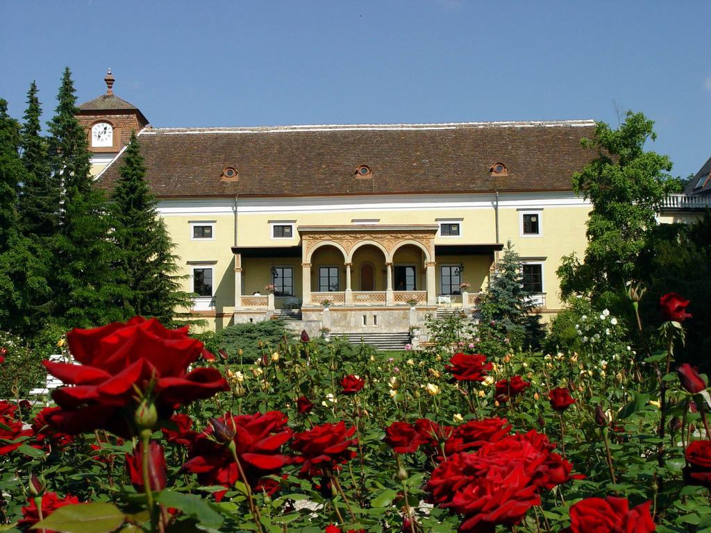 Schloss Weikersdorf Hotel, фотографии туристов
