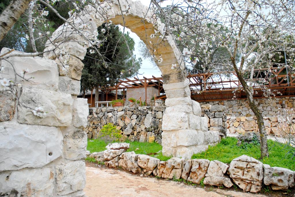 Kibbutz Yad Hashmona фото та відгуки