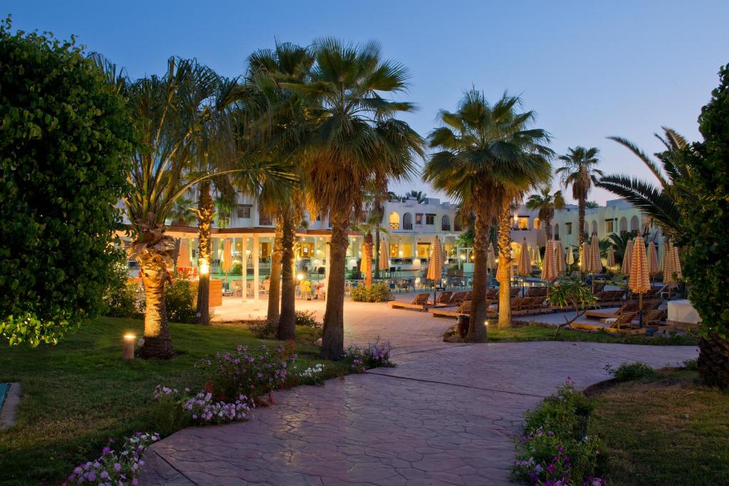 Туры в отель Amphoras Aqua Resort (ex. Shores Golden) Шарм-эль-Шейх