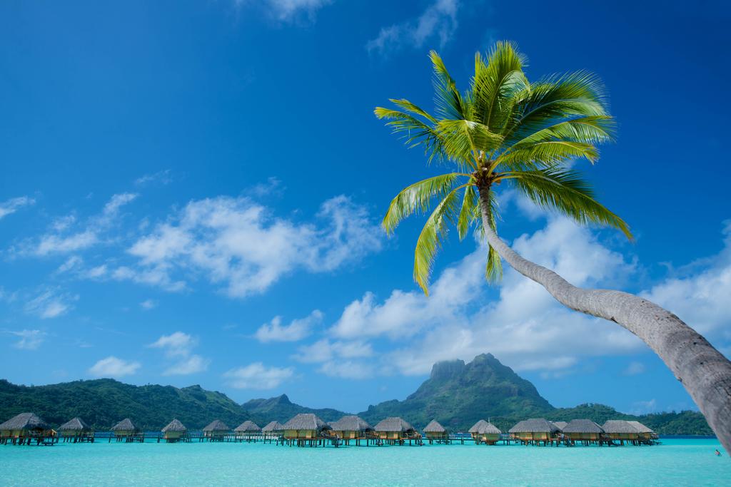 Bora Bora Pearl Beach Resort Французская Полинезия (Франция) цены