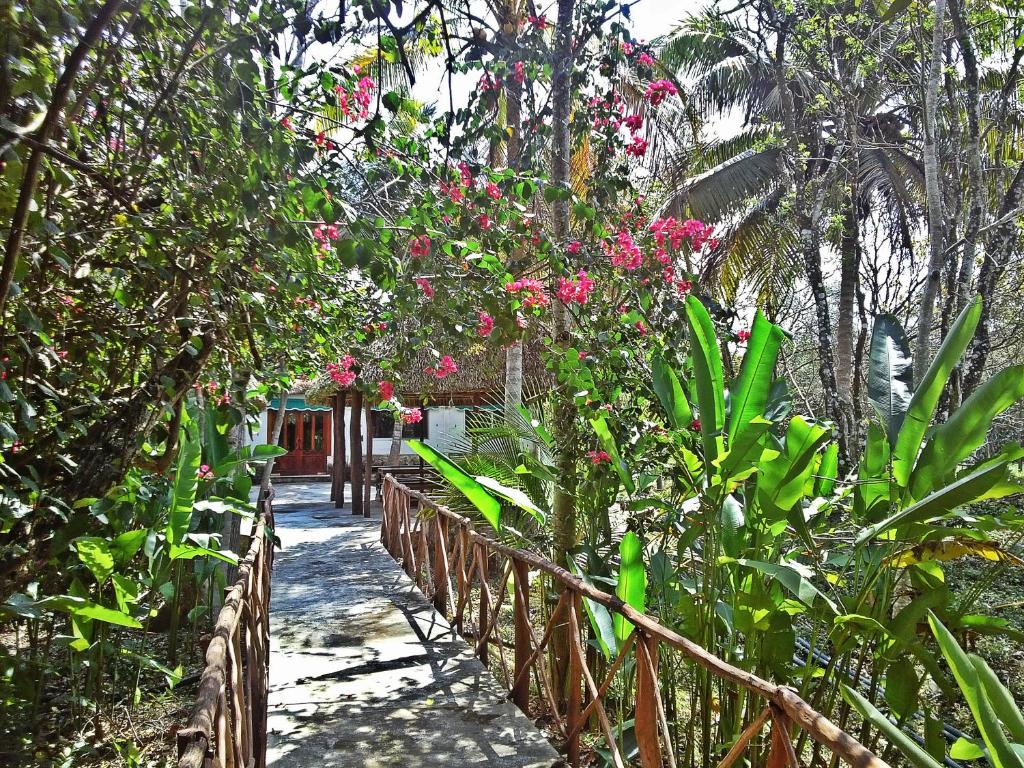 Hacienda San Miguel, Вальядолід, фотографії турів