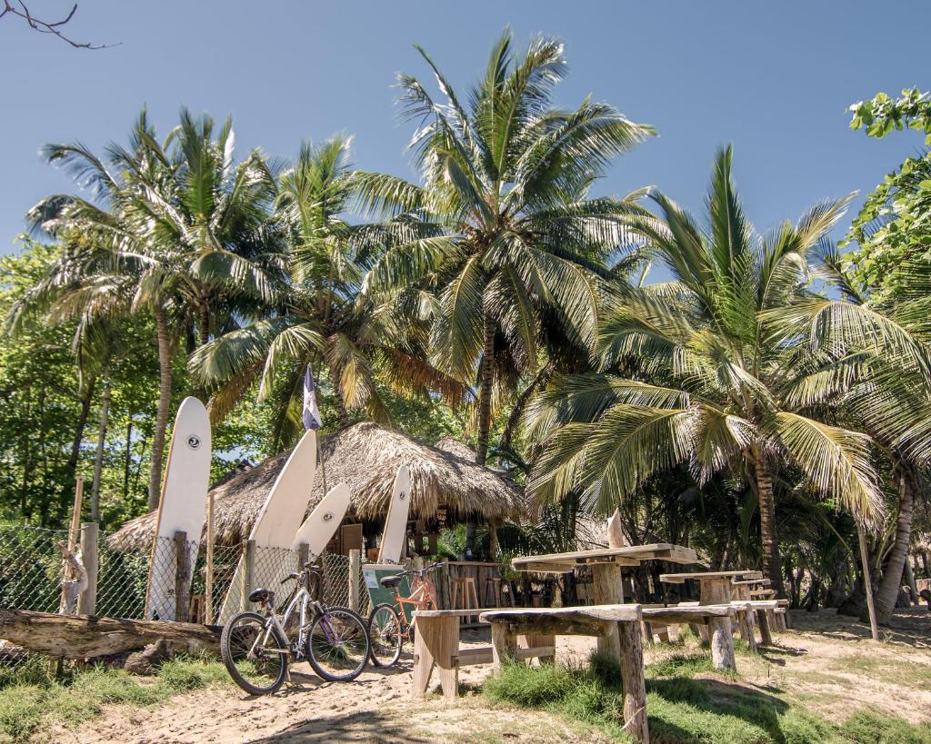 Cabarete Maravilla Beach Ecolodge Surf, Пуерто-Плата, Домініканська республіка, фотографії турів