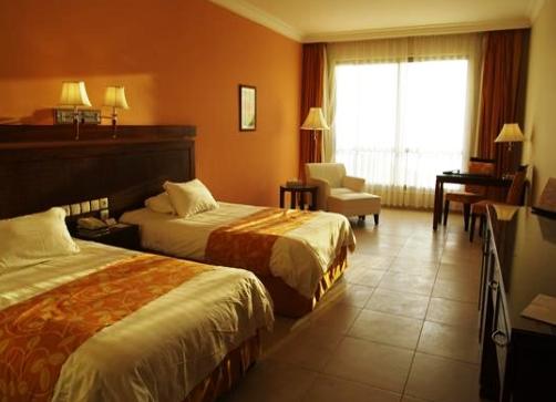 Відгуки гостей готелю Dead Sea Spa Hotel