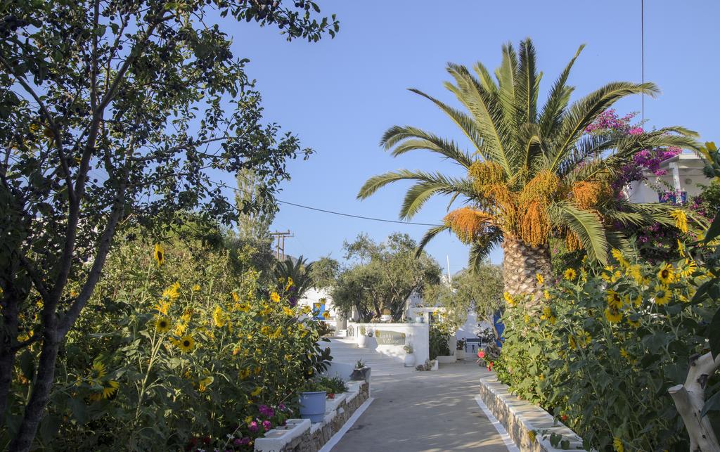 Отдых в отеле Lakki Village Аморгос (остров) Греция