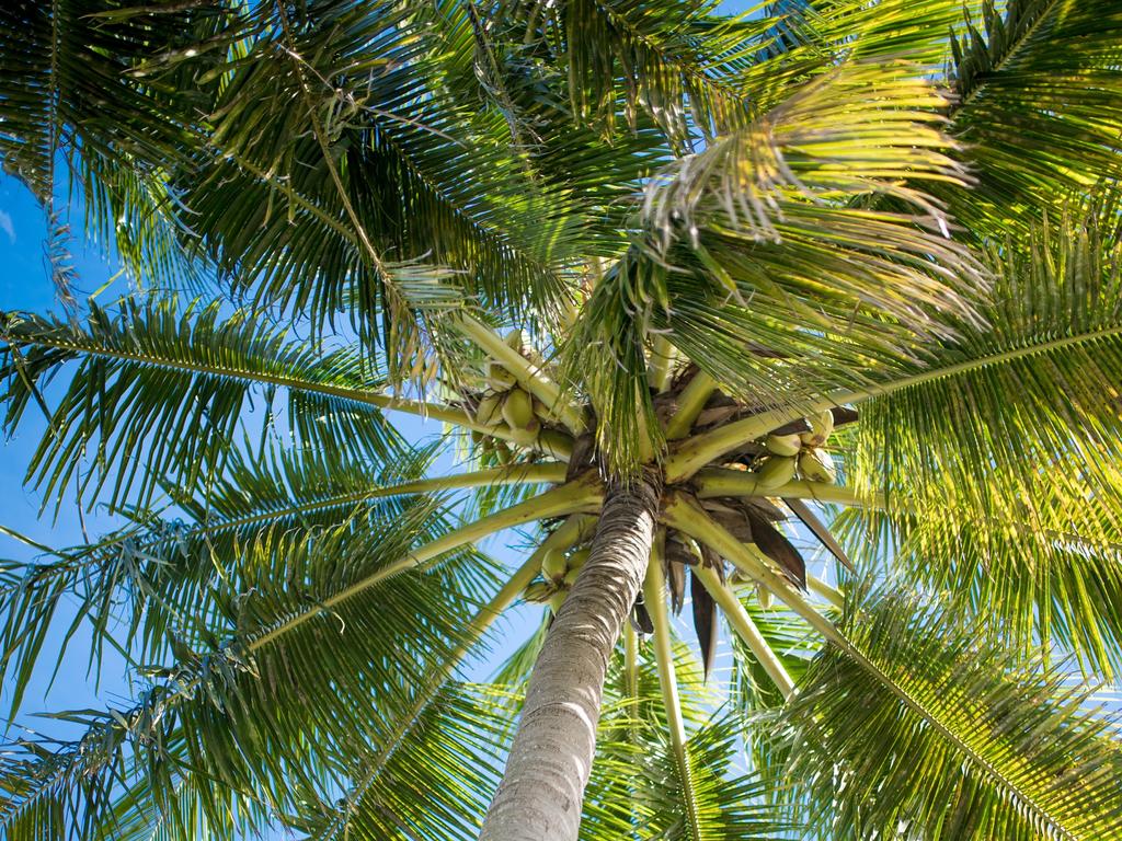 Тури в готель Mont Choisy Beach Villa Маврикій Маврикій