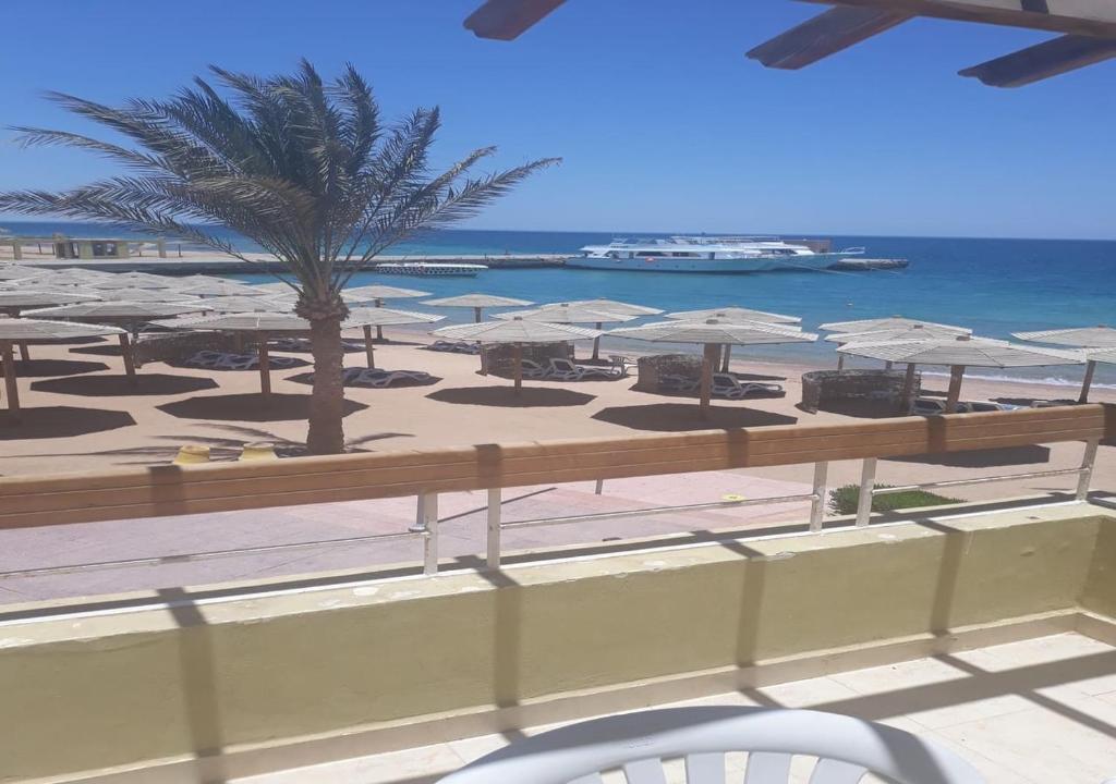 Tours to the hotel Palm Beach Resort Hurghada Egypt