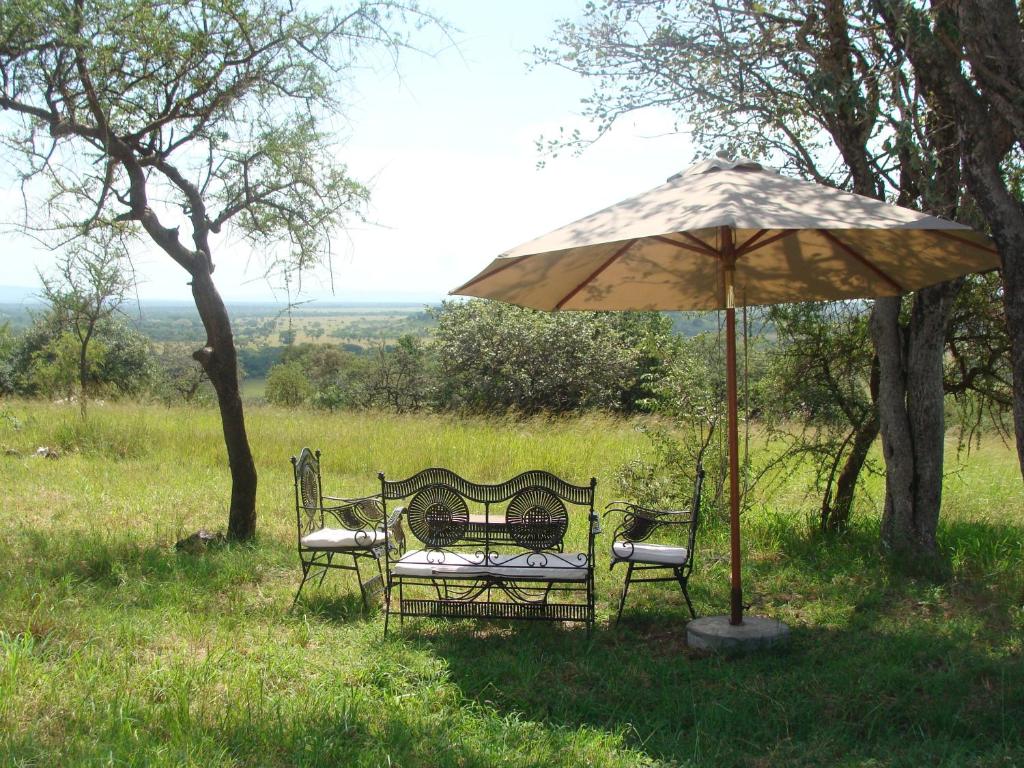 Отдых в отеле Mbalageti Serengeti