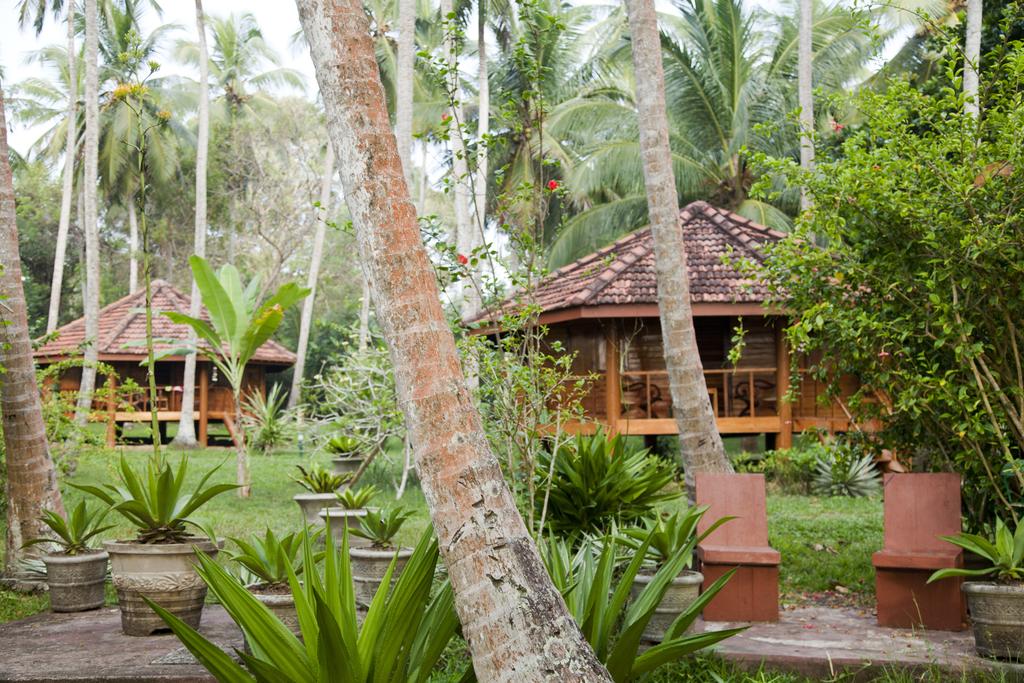 Sri Lanka Palm Paradise Cabanas