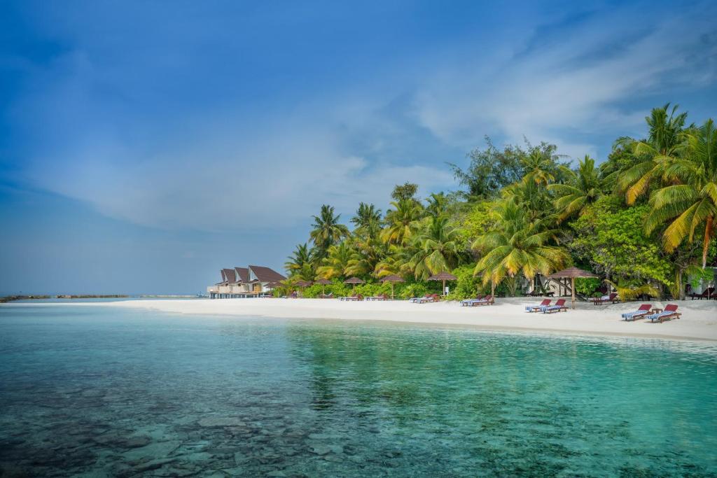 Ellaidhoo Maldives by Cinnamon, Ари & Расду Атоллы цены