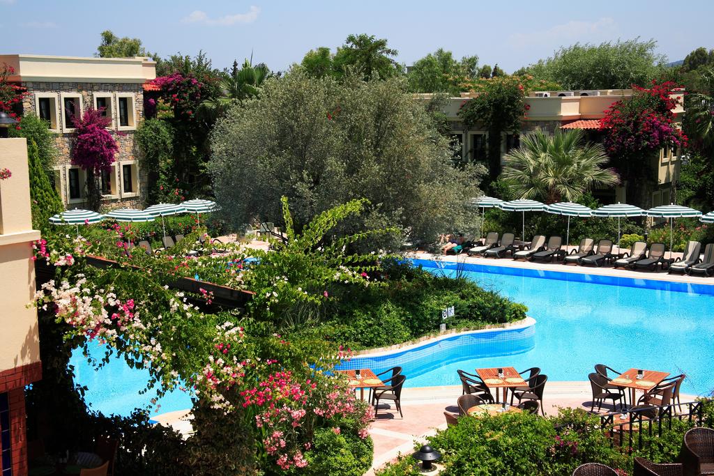 Zeytinada Hotel, Turcja, Bodrum, wakacje, zdjęcia i recenzje