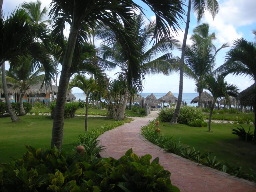 Odpoczynek w hotelu Vik Hotel Arena Blanca (ex. Lti Beach Resort Punta Cana) Punta Cana Republika Dominikany