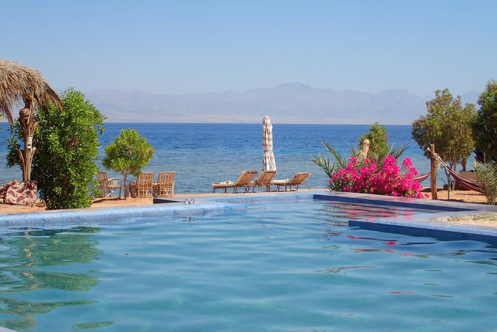 Bedouin Star, Egypt, Nuweiba, tours, photos and reviews