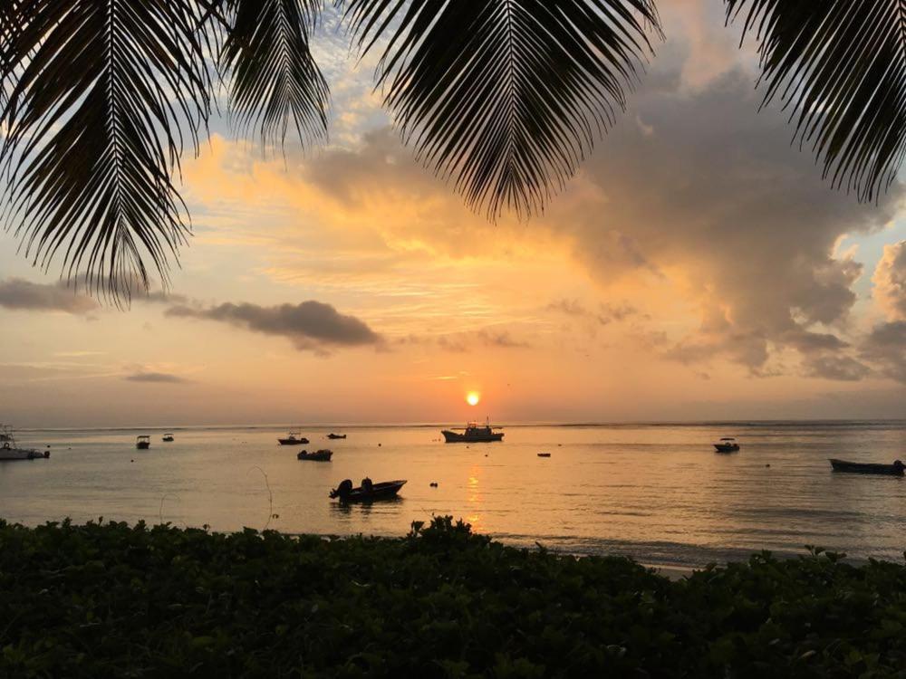 Shanaz Beach Retreat, Сейшелы, Маэ (остров), туры, фото и отзывы