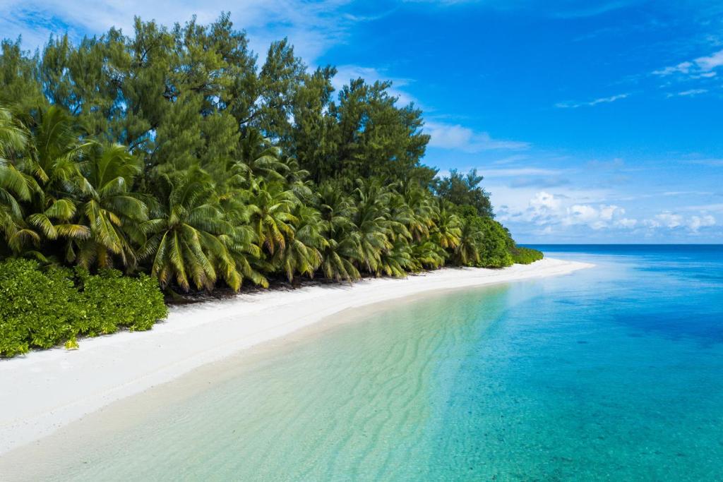 Отдых в отеле Four Seasons Resort Seychelles at Desroches Island Дерош (остров) Сейшелы