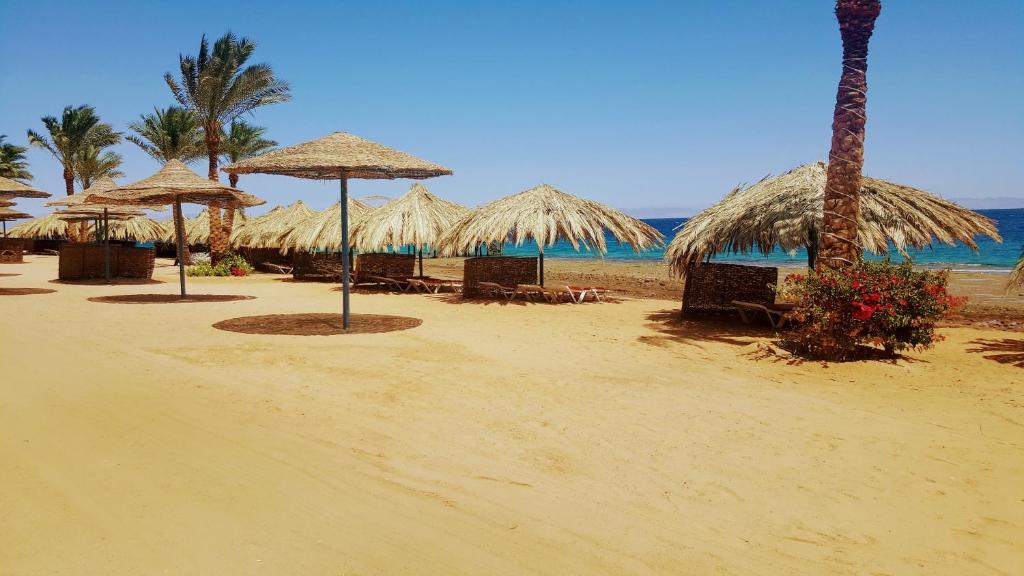 Ecotel Dahab Bay View Resort, Дахаб, Египет, фотографии туров