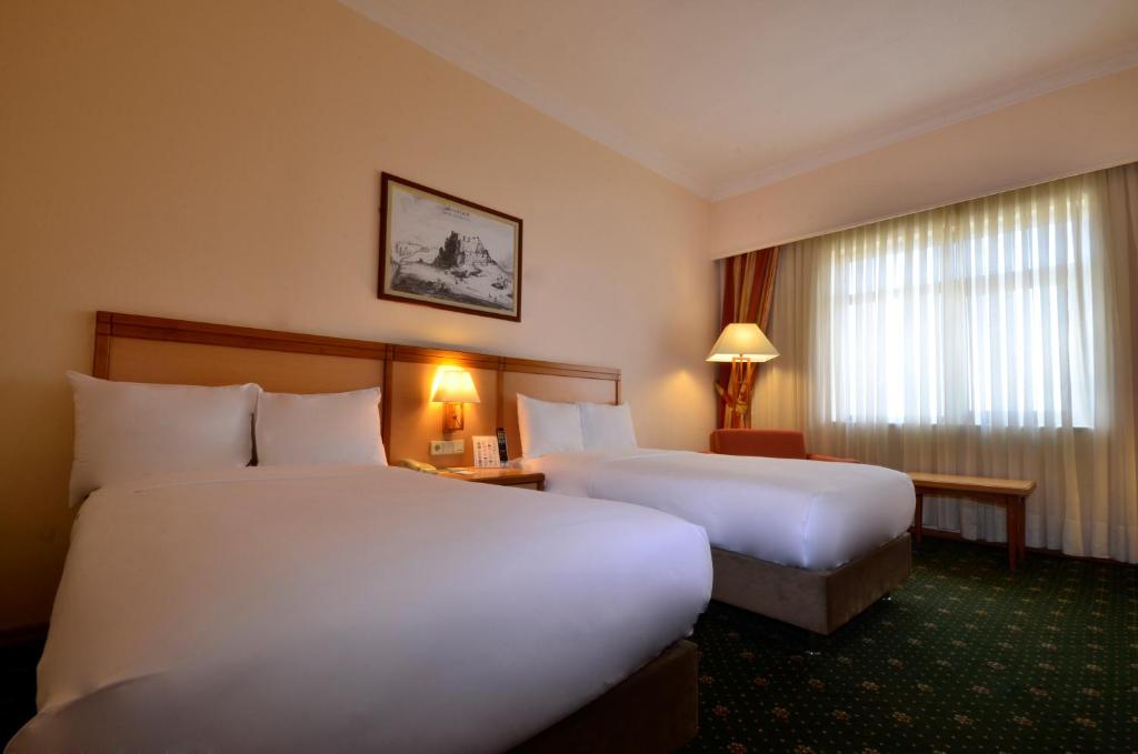 Горящие туры в отель Polat Erzurum Resort
