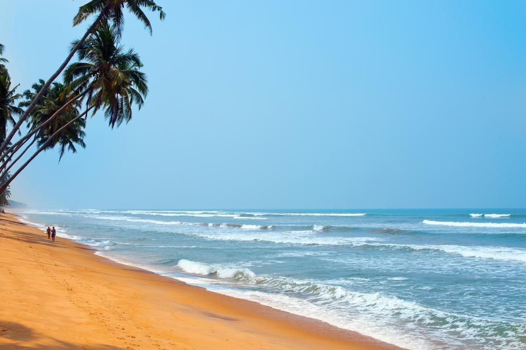 Гарячі тури в готель Reef Villa Ваддува Шрі-Ланка