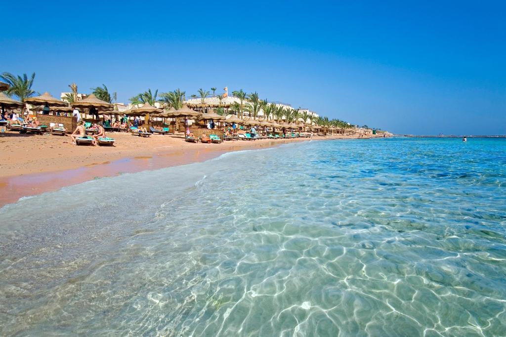 Hotel, Egypt, Sharm el-Sheikh, Tamra Beach