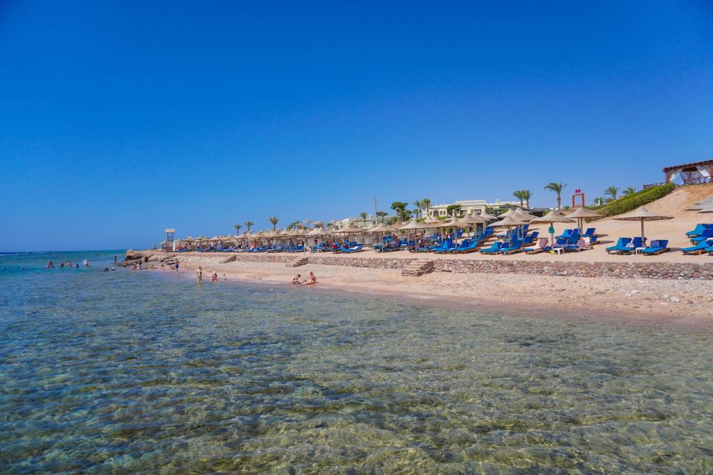 Sharm el-Sheikh, Charmillion Club Resort (ex. Sea Club), 5
