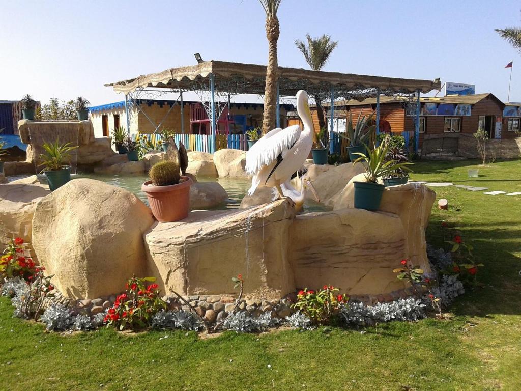 Tours to the hotel Hawaii Le Jardian Aqua Park Hurghada Egypt