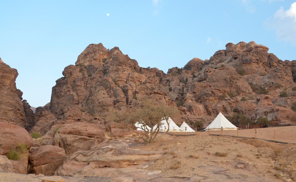 Гарячі тури в готель The Rock Camp Petra