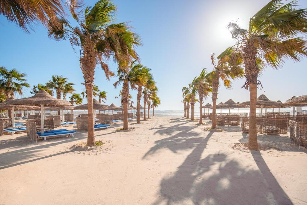 Горящие туры в отель Amwaj Beach Club Abu Soma (ex. Pickalbatros Beach Club Abu Soma) Макади Бэй Египет