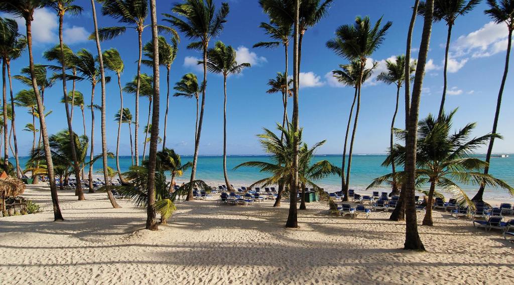 Barcelo Bavaro Beach Домініканська республіка ціни
