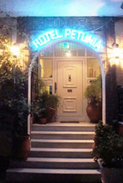 Горящие туры в отель Petunia Hotel Sithonia Ситония